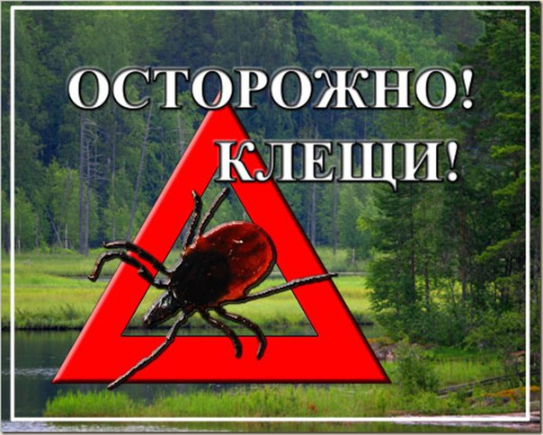 uj4ZT4cJmiI