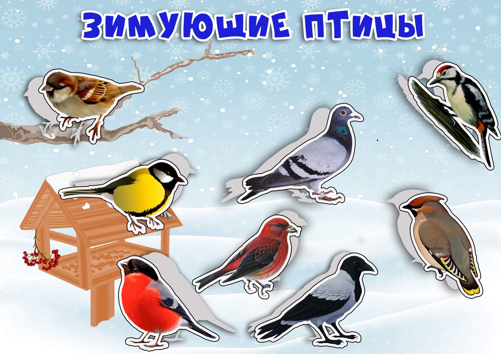 cbeefe9bd43b0d5a2d72ac1e026f1259