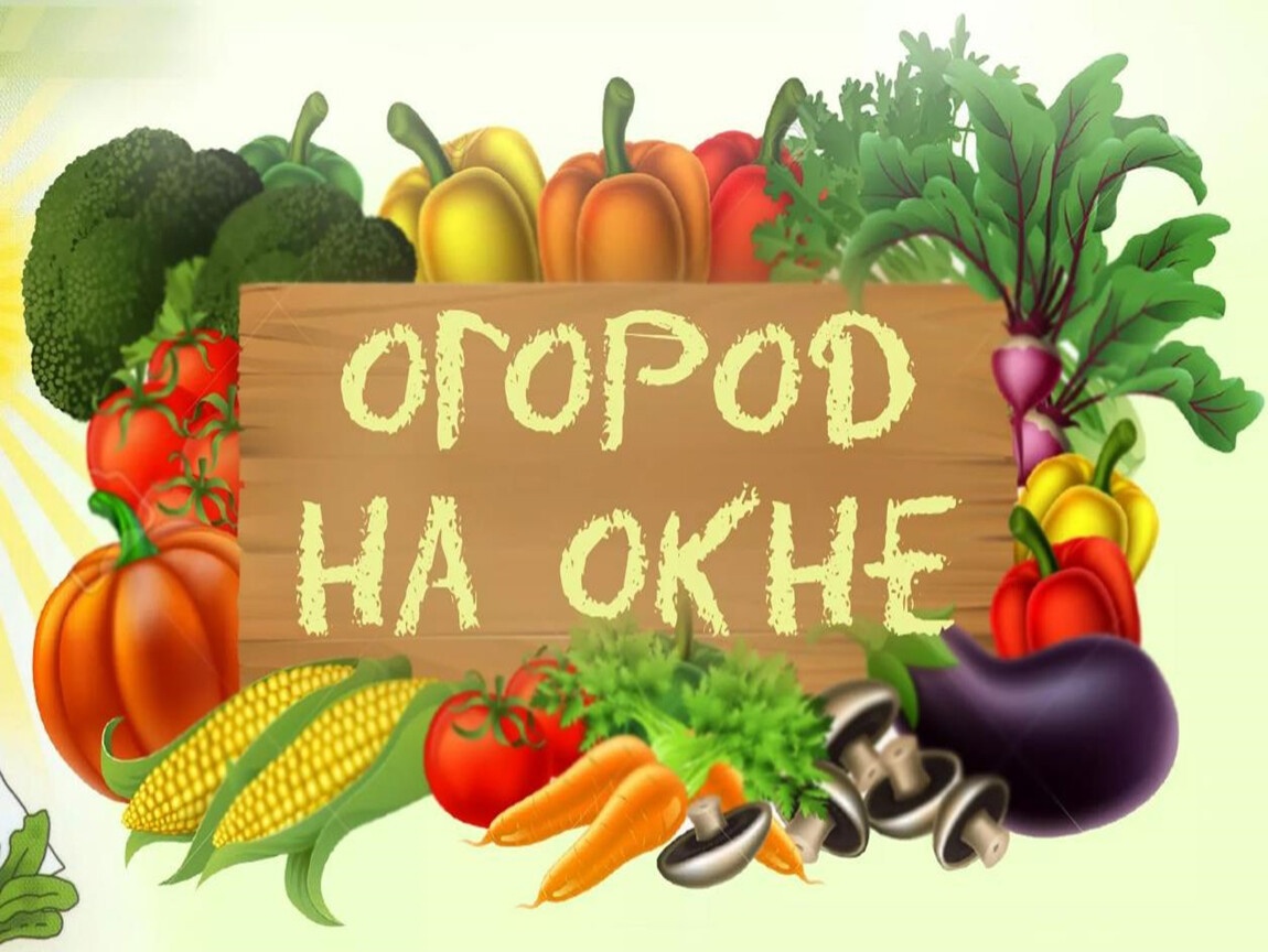 ogorod na okne1
